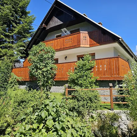 Apartma Bistr'ca アパート ボーヒニ